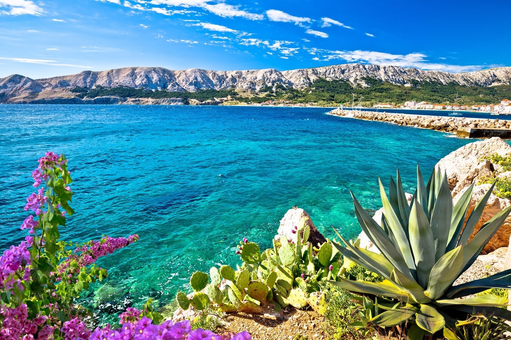 Ekskursiju Ce ojumi AZA TOURS Ekskursiju Ce ojumi AZA TOURS